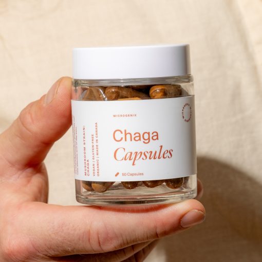 Chaga Capsules Brain Food Canada